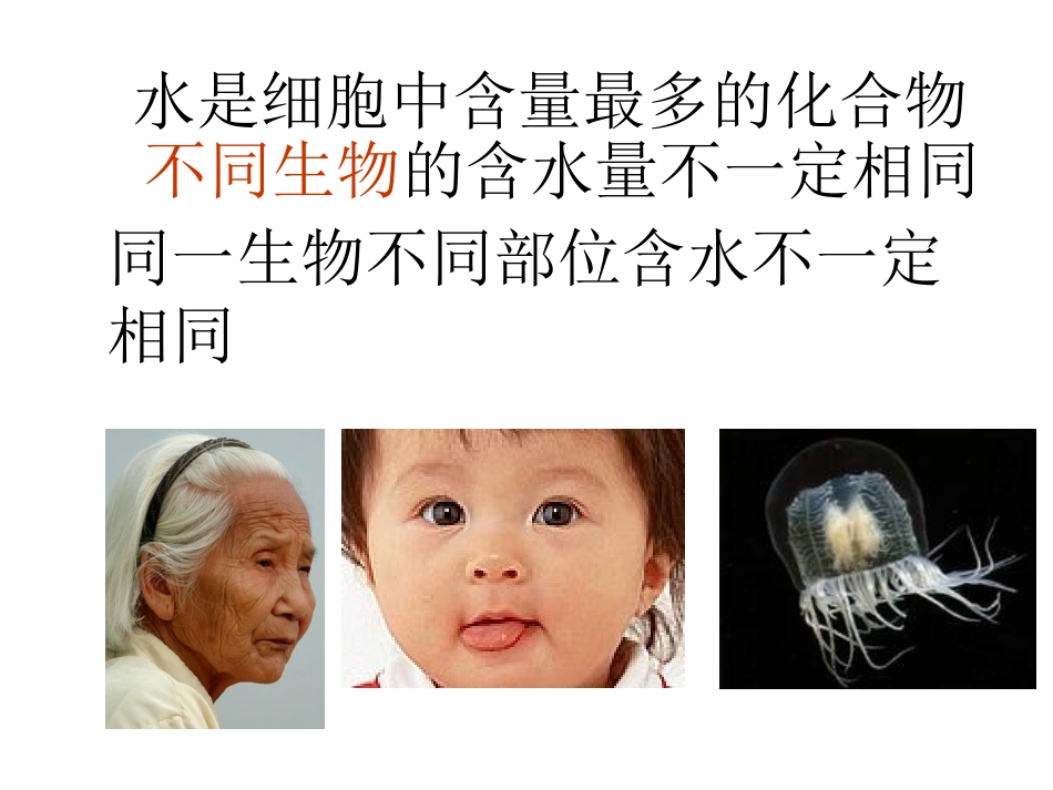 高一生物_水和无机盐_第3页