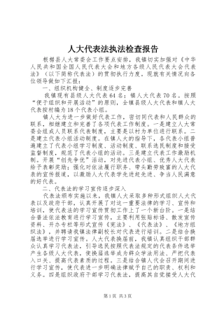 人大代表法执法检查报告