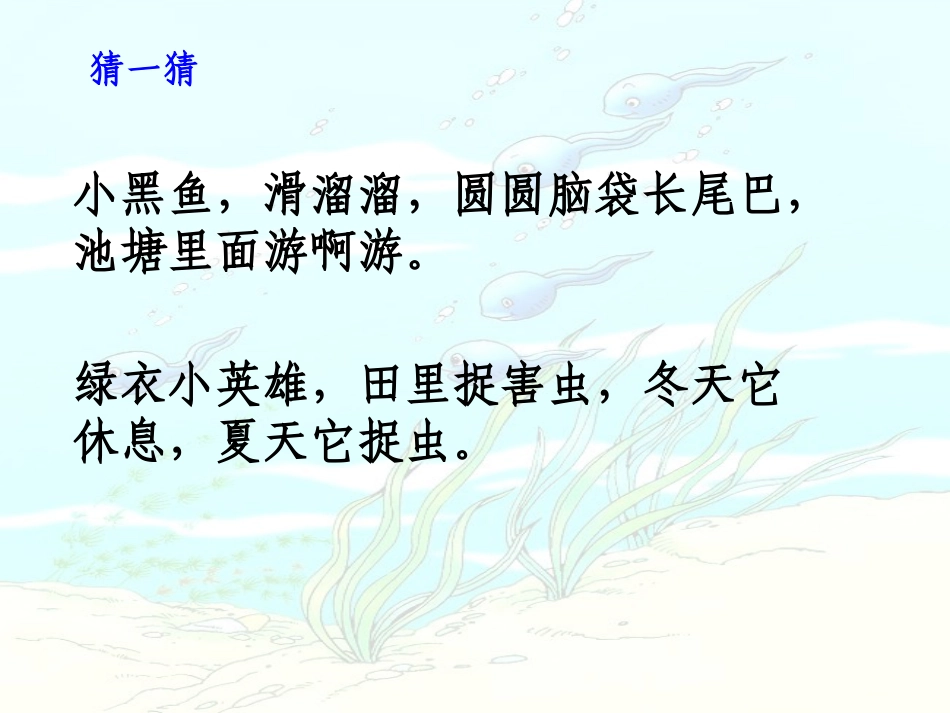 小蝌蚪找妈妈课件-一下语文_第1页