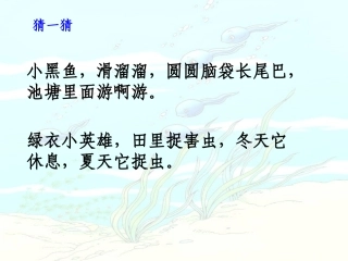 小蝌蚪找妈妈课件-一下语文