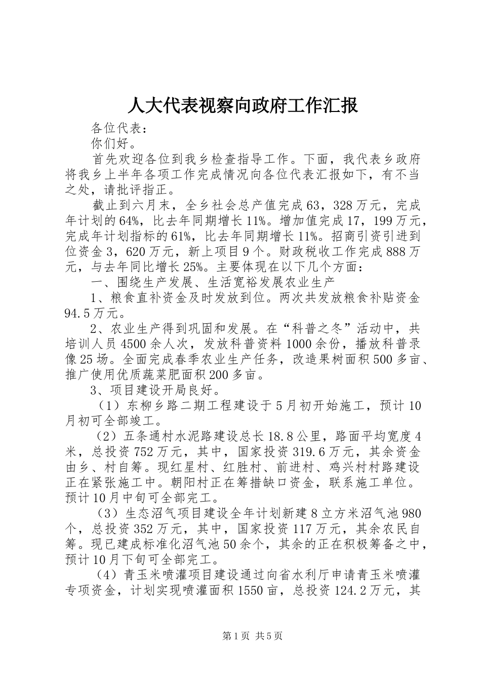 人大代表视察向政府工作汇报_第1页