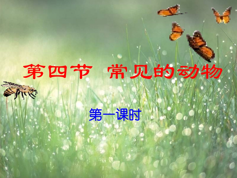 常见的动物(第课时)_第1页