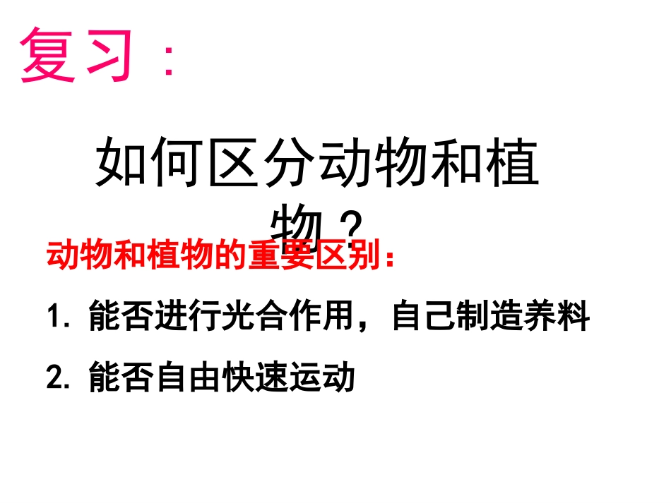 常见的动物(第课时)_第2页