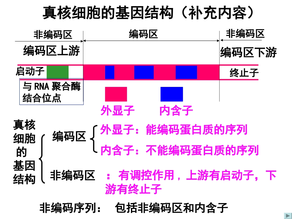 《基本操作程序》_第3页