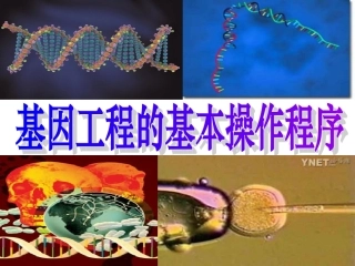 《基本操作程序》
