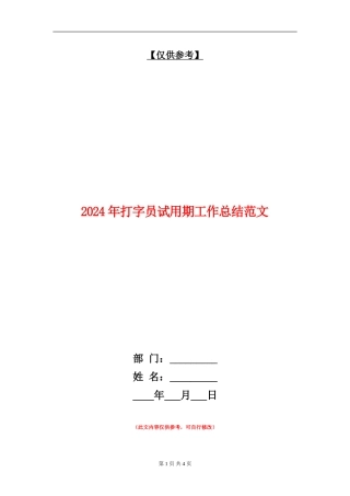 2024年打字员试用期工作总结范文