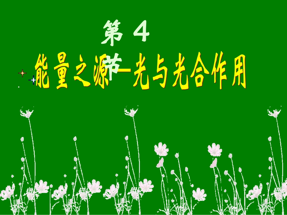 生物：54《能量之源——光与光合作用》课件(新人教版必修1)_第2页