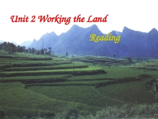 舒影--WorkingthelandREADING