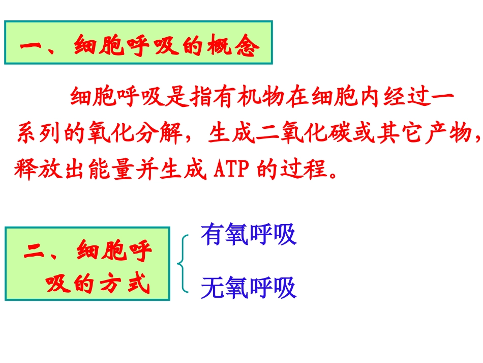 生物：53《ATP的主要来源——细胞呼吸》课件---新人教版必修1)1_第2页