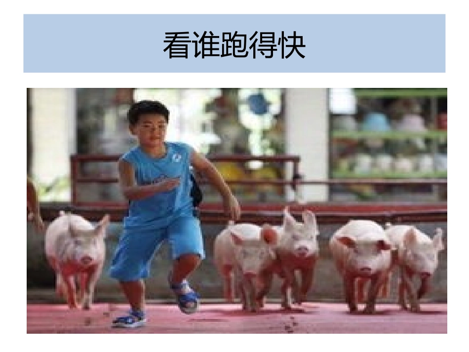 体育图片课件_第2页