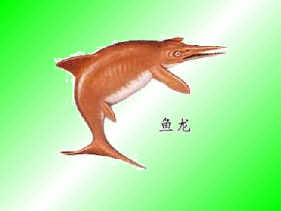 飞向蓝天的恐龙 (2)_第3页