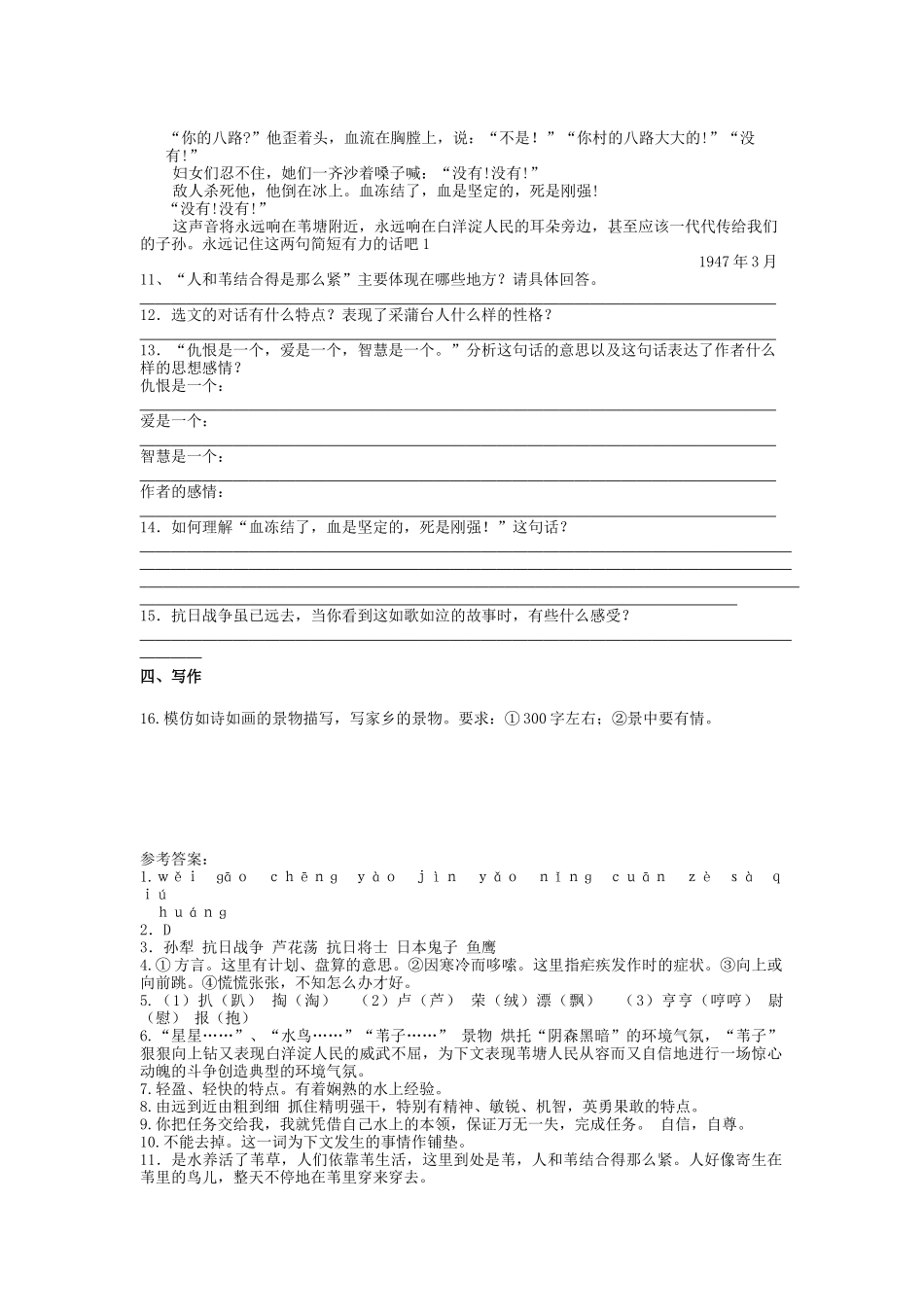 《芦花荡》第一课时同步练习_第3页