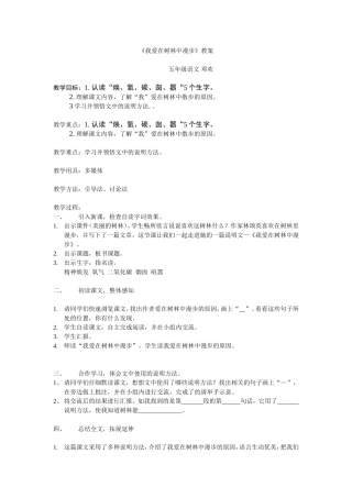 我爱在树林中漫步