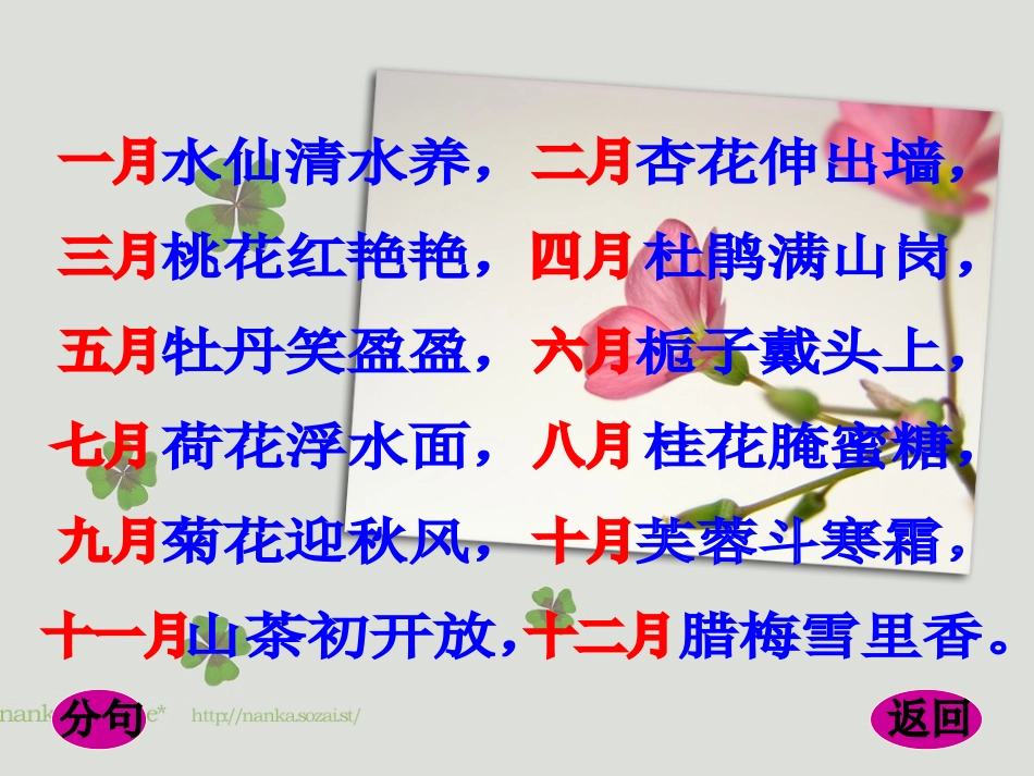 幼儿园大班语言活动课件-花开歌_第3页