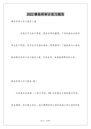 2024事务所审计实习报告