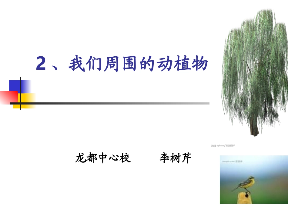 《我们周围的动植物》教学课件_第1页
