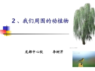 《我们周围的动植物》教学课件