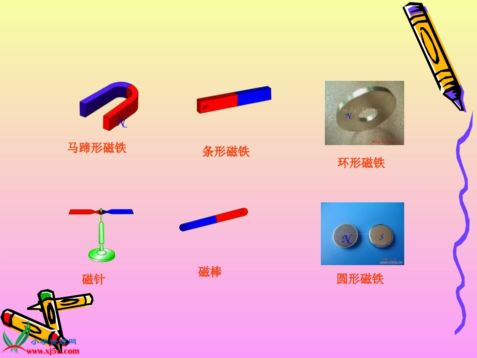 苏教版小学科学五年级上册《研究磁铁》PPT课件之三_第2页