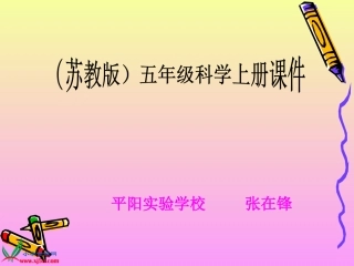 苏教版小学科学五年级上册《研究磁铁》PPT课件之三