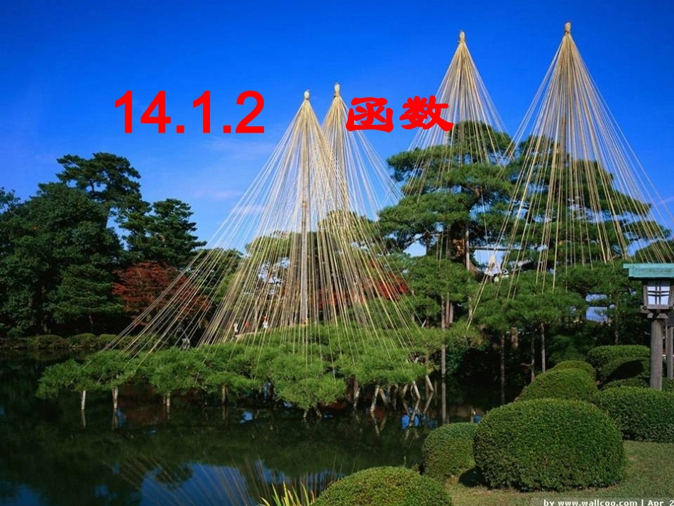 变量与函数课件_第1页