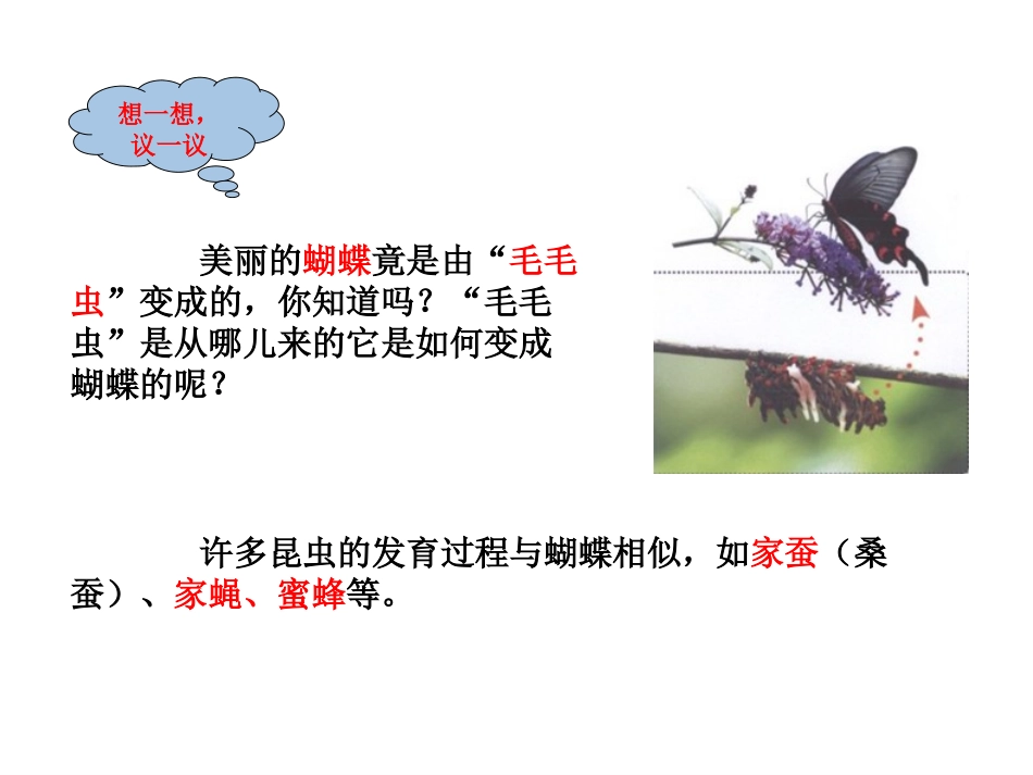 昆虫的生殖和发育_第2页