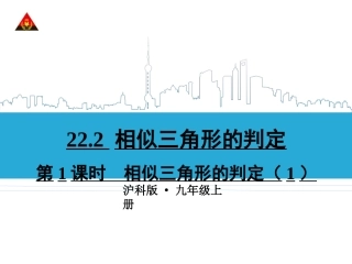 第1课时相似三角形的判定（1）