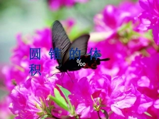 《圆锥的体积》课件 (2)