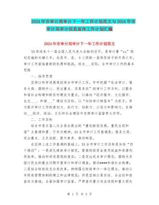 2024年市审计局审计下一年工作计划范文与2024年市审计局审计信息宣传工作计划汇编