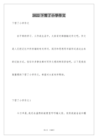 2024下雪了小学作文_9