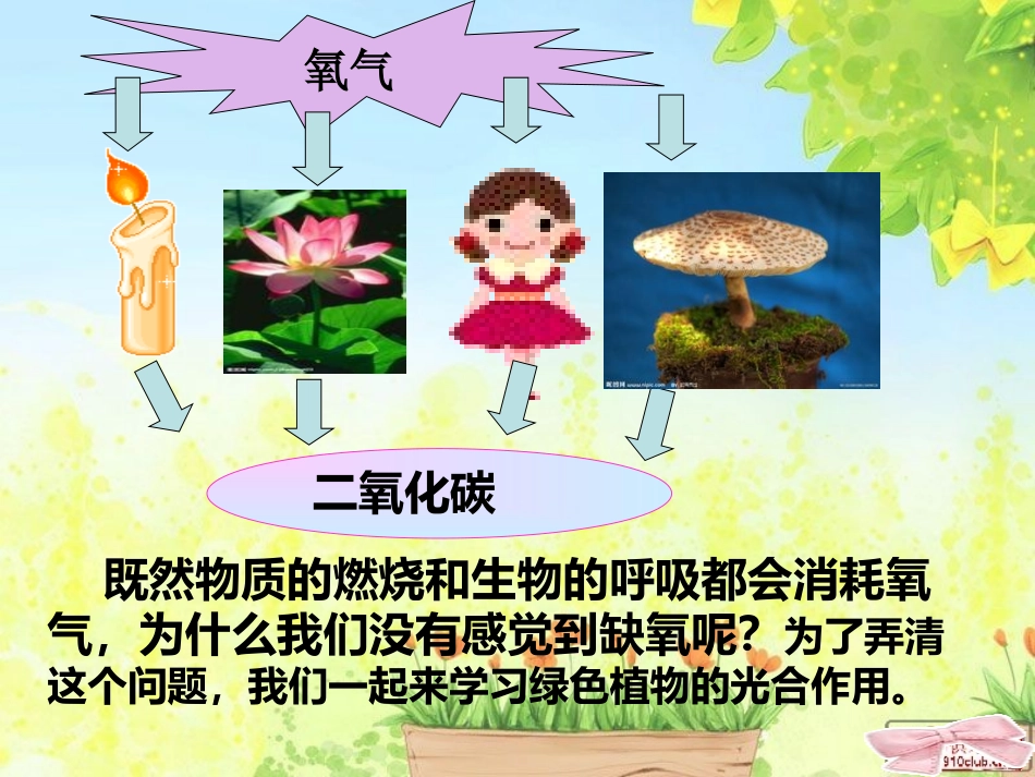 光合作用吸收二氧化碳释放氧气_第1页