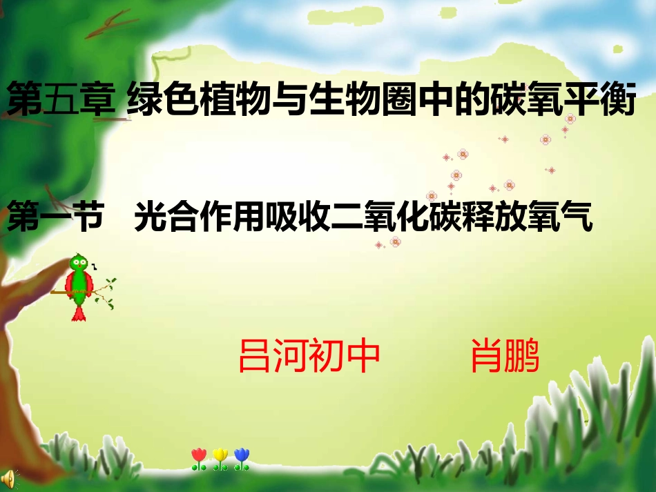 光合作用吸收二氧化碳释放氧气_第2页