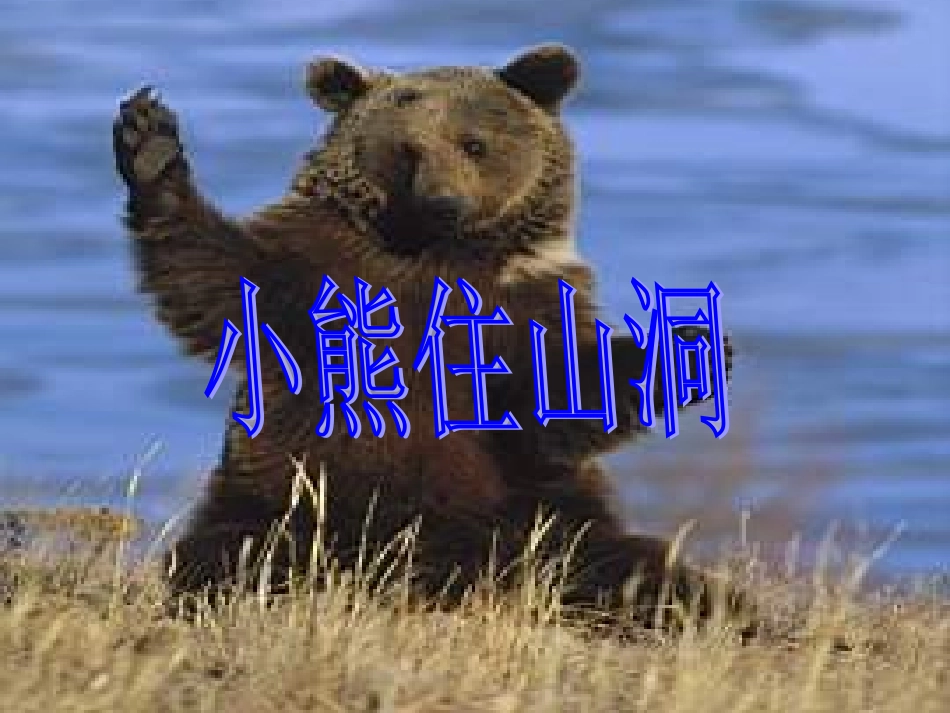 小熊住山洞 (2)_第1页