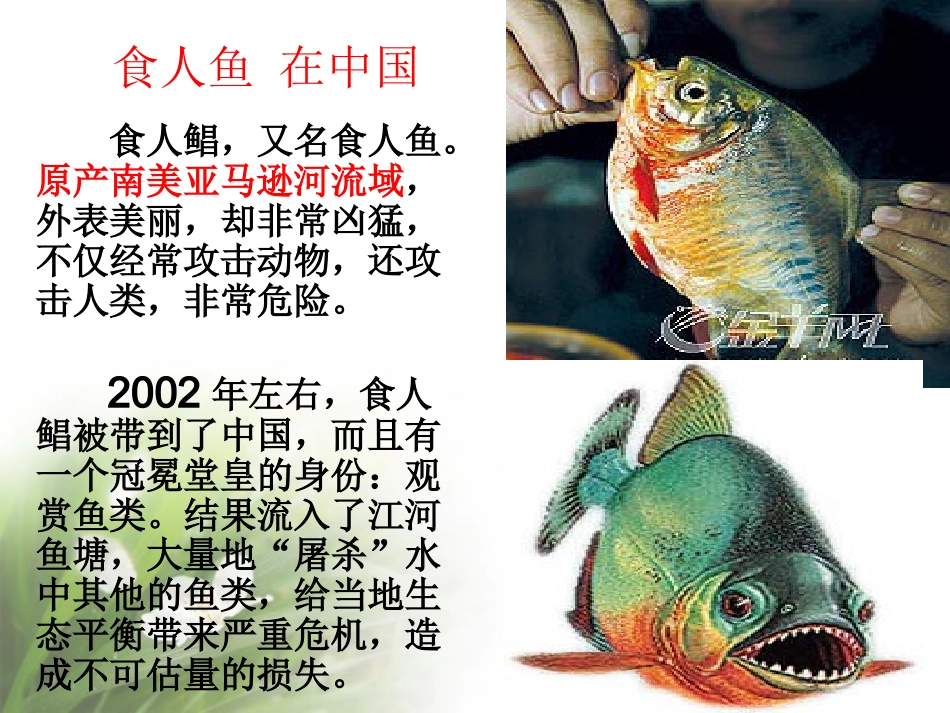 生物入侵者1_第2页