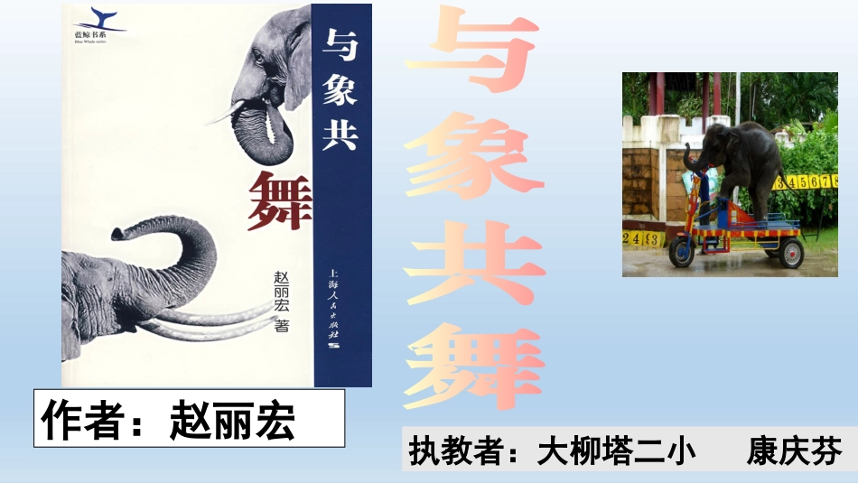 与象共舞课件康庆芬_第1页