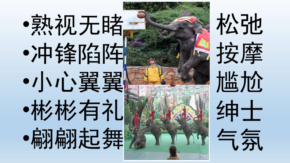 与象共舞课件康庆芬_第3页