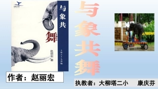 与象共舞课件康庆芬