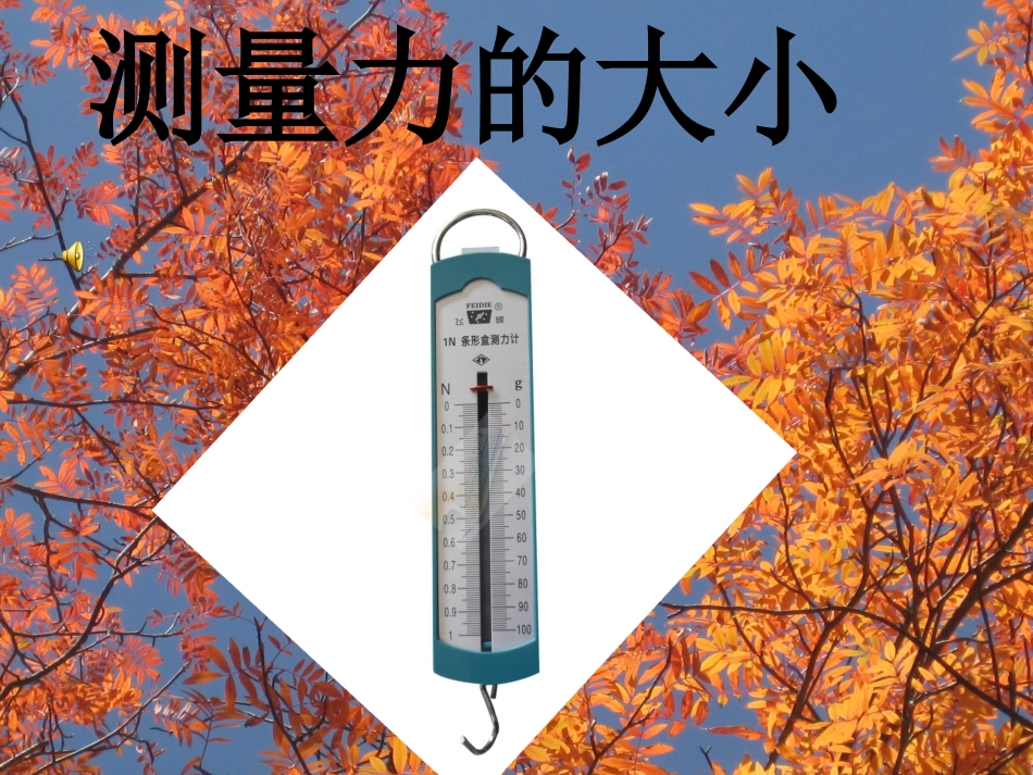 五年级科学上册第四单元测量力的大小_第2页