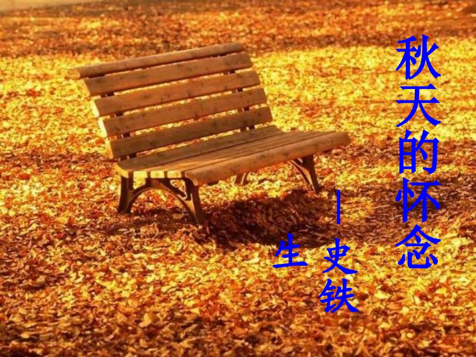 秋天的怀念 (5)_第3页