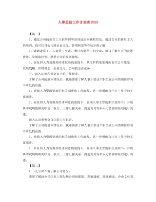 人事总监工作计划表2020 