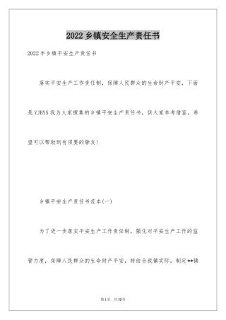 2024乡镇安全生产责任书