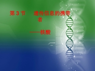 遗传信息的携带者-核酸