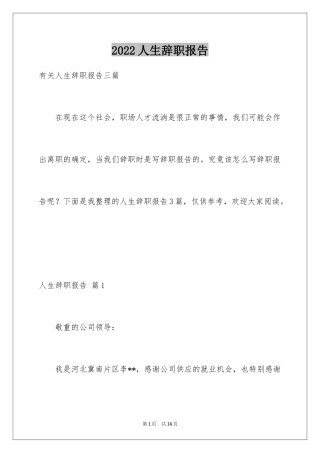 2024人生辞职报告_3