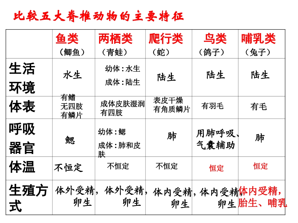 常见的动物（第课时） _第2页