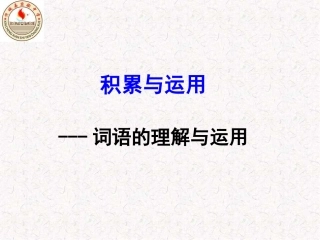 期末复习之成语的理解与运用