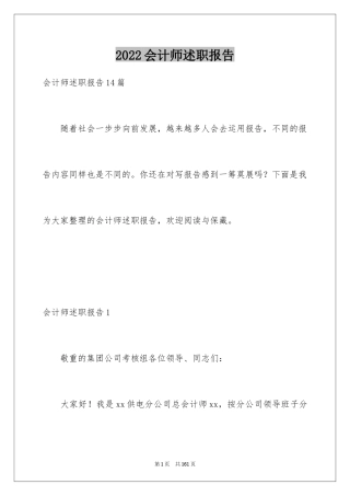 2024会计师述职报告