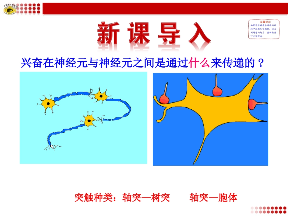 第二节神经系统的结构与功能（二）_第2页
