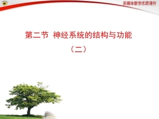 第二节神经系统的结构与功能（二）
