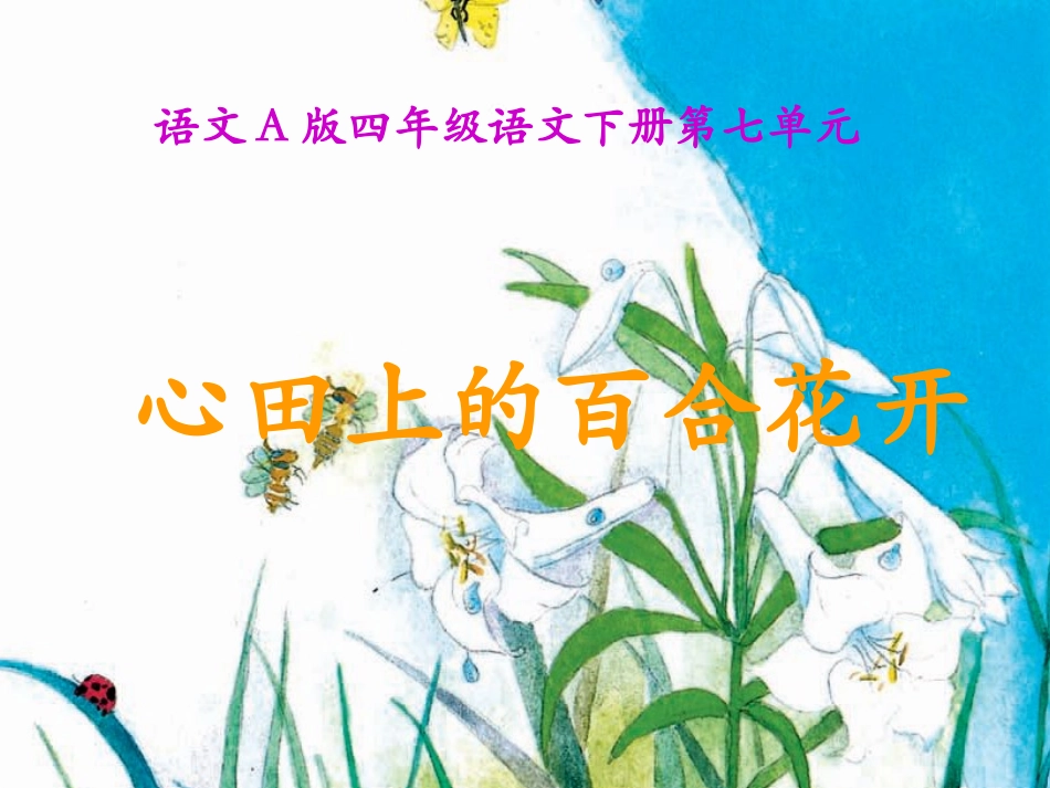 （语文A版）四年级语文下册课件心田上的百合花开_第1页