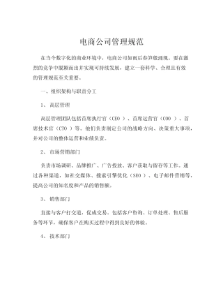 电商公司管理规范
