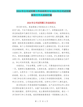 2024年公司试用期工作总结范文与2024年公司试用期新员工个人总结汇编